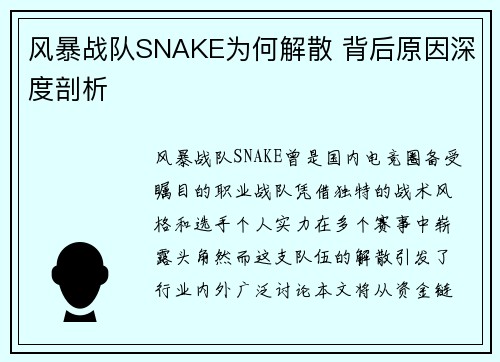 风暴战队SNAKE为何解散 背后原因深度剖析